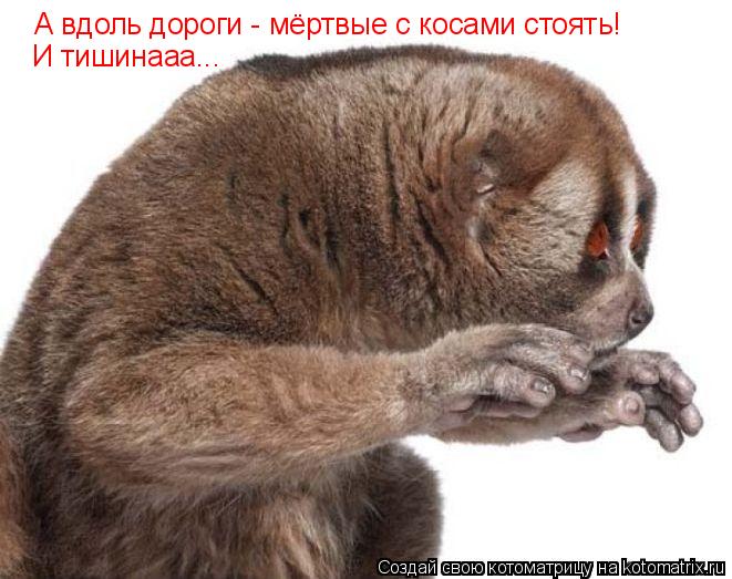А вдоль дороги - мёртвые с косами стоять! И тишинааа...... Котоматрица: А вдоль дороги - мёртвые с косами стоять! И тишинааа...
