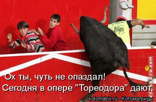Ох ты, чуть не опаздал! Сегодня в опере "Тореодора" дают.... Котоматрица: Ох ты, чуть не опаздал! Сегодня в опере "Тореодора" дают.