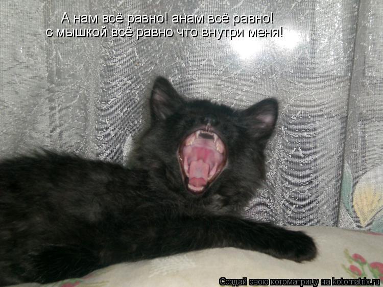 А нам всё равно! анам всё равно! с мышкой всё равно что внутри меня!... Котоматрица: А нам всё равно! анам всё равно! с мышкой всё равно что внутри меня!