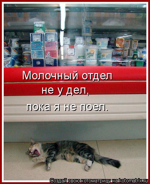 Молочный отдел не у дел, пока я не поел.... Котоматрица: Молочный отдел не у дел, пока я не поел.