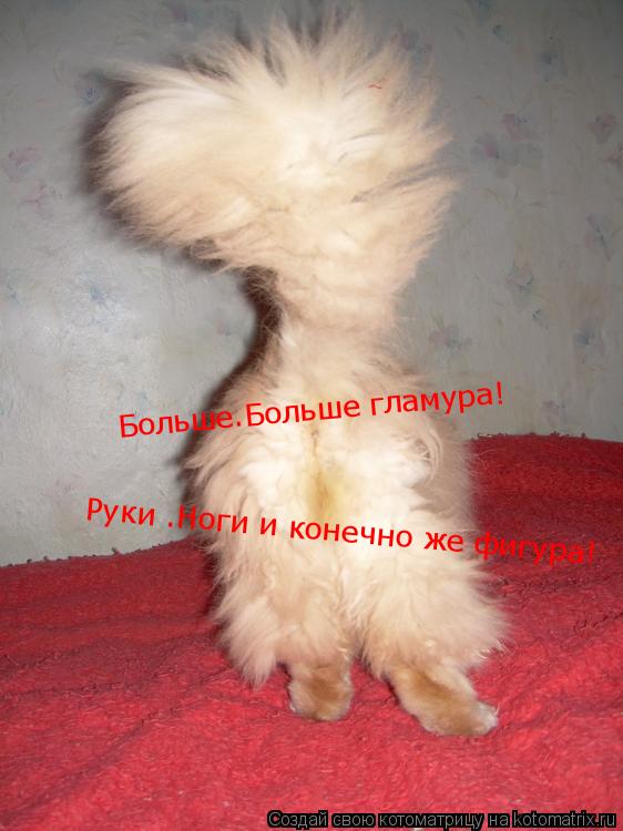 Больше.Больше гламура! Больше.Больше гламура! Руки .Ноги и конечно же фигура!... Котоматрица: Больше.Больше гламура! Больше.Больше гламура! Руки .Ноги и конечно же фигура!