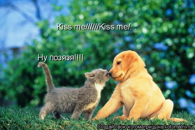 Kiss me//////Kiss me/... Ну позязя!!!!... Котоматрица: Kiss me//////Kiss me/... Ну позязя!!!!