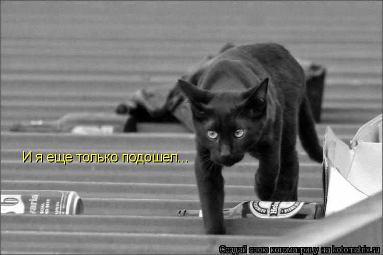 И я еще только подошел...... Котоматрица: И я еще только подошел...