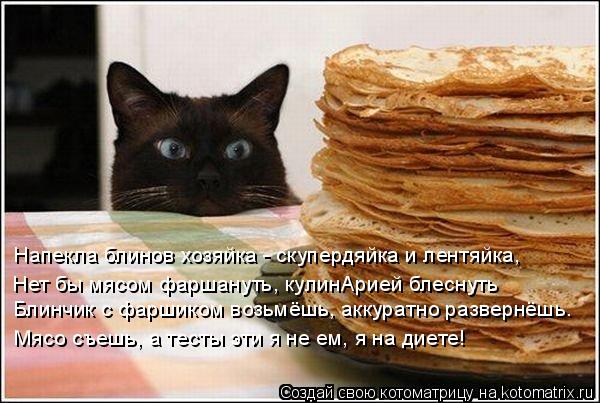 Котоматрица: Напекла блинов хозяйка - скупердяйка и лентяйка, Блинчик с фаршиком возьмёшь, аккуратно развернёшь… Мясо съешь, а тесты эти я не ем, я на дие