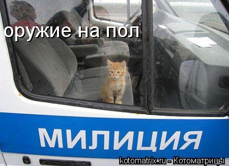 оружие на пол... Котоматрица: оружие на пол