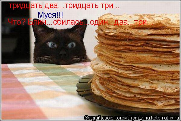 тридцать два...тридцать три... Муся!!! Что? Блин...сбилась...один...два...три...... Котоматрица: тридцать два...тридцать три... Муся!!! Что? Блин...сбилась...один...два...три...