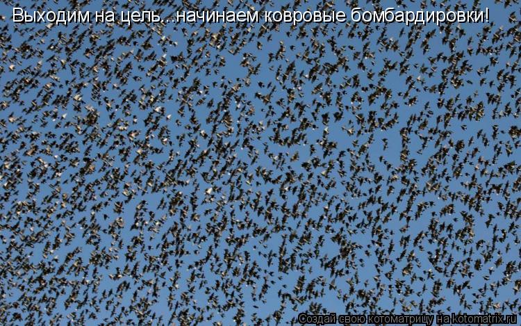 Выходим на цель...начинаем ковровые бомбардировки!... Котоматрица: Выходим на цель...начинаем ковровые бомбардировки!
