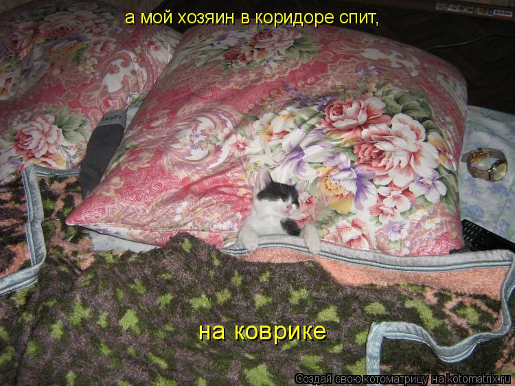 а мой хозяин в коридоре спит, на коврике... Котоматрица: а мой хозяин в коридоре спит, на коврике
