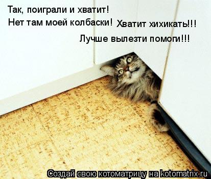 Так, поиграли и хватит! Нет там моей колбаски! Хватит хихикать!!! Лучше вылезти помоги!!!... Котоматрица: Так, поиграли и хватит! Нет там моей колбаски! Хватит хихикать!!! Лучше вылезти помоги!!!