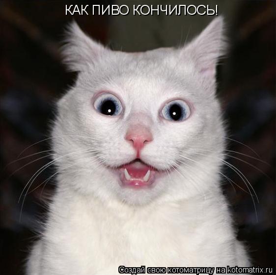 КАК ПИВО КОНЧИЛОСЬ!... Котоматрица: КАК ПИВО КОНЧИЛОСЬ!