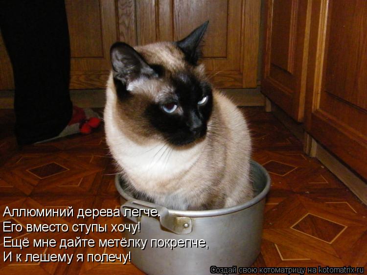 Аллюминий дерева легче. Его вместо ступы хочу! Ещё мне дайте метёлку покрепче, И к лешему я полечу!... Котоматрица: Аллюминий дерева легче. Его вместо ступы хочу! Ещё мне дайте метёлку покрепче, И к лешему я полечу!