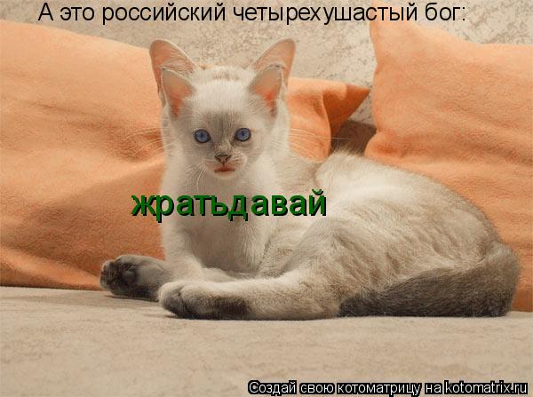 А это российский четырехушастый бог: жратьдавай... Котоматрица: А это российский четырехушастый бог: жратьдавай