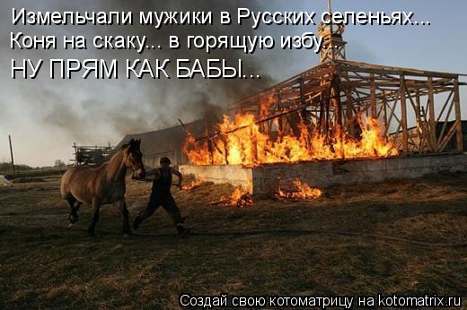 Котоматрица: Измельчали мужики в Русских селеньях... Коня на скаку... в горящую избу... НУ ПРЯМ КАК БАБЫ...