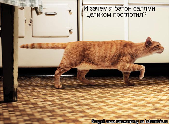 И зачем я батон салями целиком проглотил?... Котоматрица: И зачем я батон салями целиком проглотил?