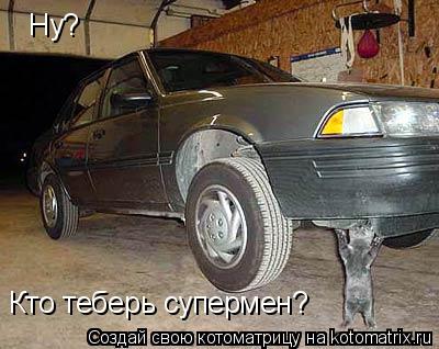 Ну? Кто теберь супермен?... Котоматрица: Ну? Кто теберь супермен?