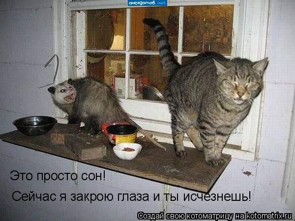Это просто сон! Сейчас я закрою глаза и ты исчезнешь!... Котоматрица: Это просто сон! Сейчас я закрою глаза и ты исчезнешь!