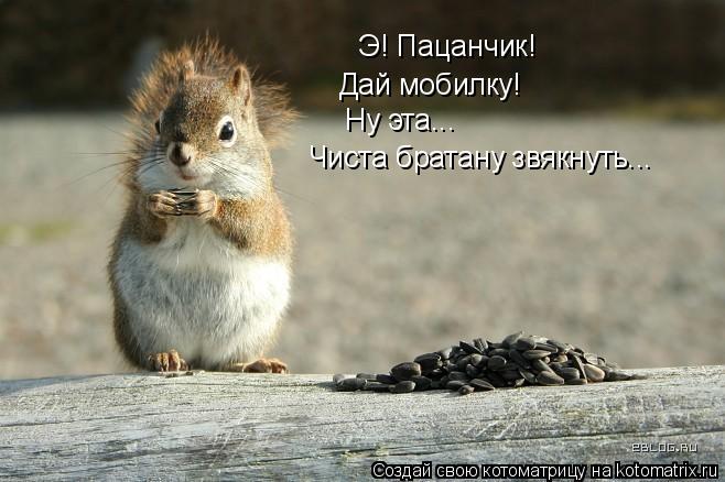 Э! Пацанчик! Дай мобилку! Ну эта... Чиста братану звякнуть...... Котоматрица: Э! Пацанчик! Дай мобилку! Ну эта... Чиста братану звякнуть...