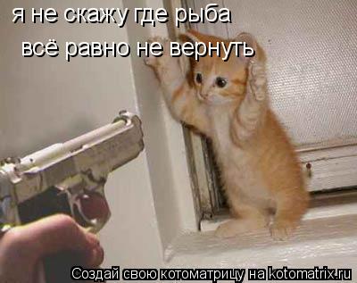 я не скажу где рыба всё равно не вернуть... Котоматрица: я не скажу где рыба всё равно не вернуть