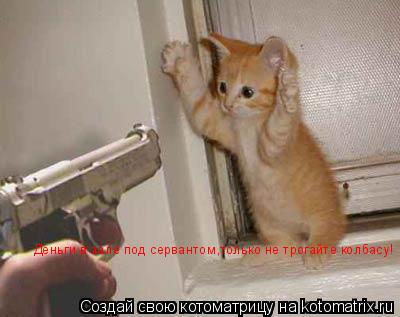 Деньги в зале под сервантом,только не трогайте колбасу!... Котоматрица: Деньги в зале под сервантом,только не трогайте колбасу!