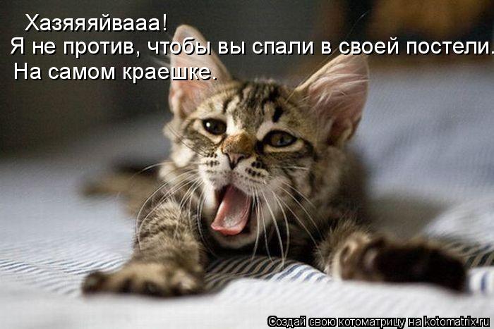 Хазяяяйвааа! Я не против, чтобы вы спали в своей постели. На самом краешке.... Котоматрица: Хазяяяйвааа! Я не против, чтобы вы спали в своей постели. На самом краешке.