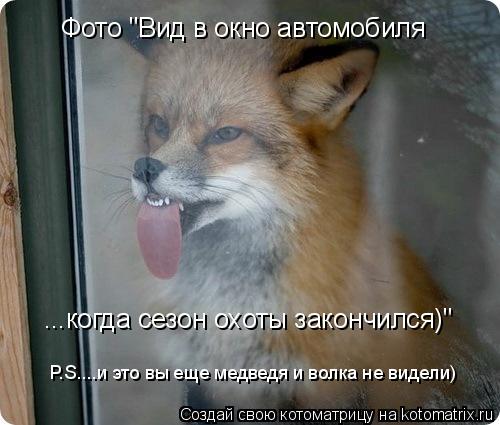Фото "Вид в окно автомобиля ...когда сезон охоты закончился)" P.S....и это вы еще медведя и волка не ... Котоматрица: Фото "Вид в окно автомобиля ...когда сезон охоты закончился)" P.S....и это вы еще медведя и волка не видели)