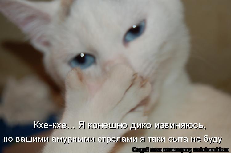 Кхе-кхе... Я конешно дико извиняюсь, но вашими амурными стрелами я таки сыта не буду... Котоматрица: Кхе-кхе... Я конешно дико извиняюсь, но вашими амурными стрелами я таки сыта не буду