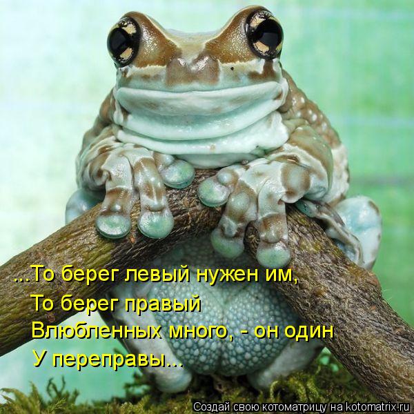 ...То берег левый нужен им, То берег правый Влюбленных много, - он один У переправы...... Котоматрица: ...То берег левый нужен им, То берег правый Влюбленных много, - он один У переправы...