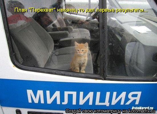План "Перехват" наконец-то дал первые результаты...... Котоматрица: План "Перехват" наконец-то дал первые результаты...