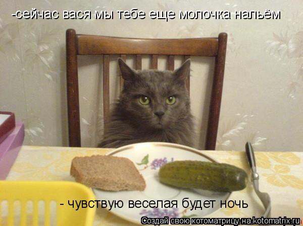 -сейчас вася мы тебе еще молочка нальём - чувствую веселая будет ночь... Котоматрица: -сейчас вася мы тебе еще молочка нальём - чувствую веселая будет ночь