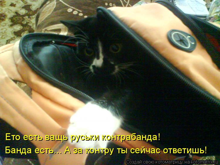 Ето есть ващь руськи контрабанда! Банда есть... А за контру ты сейчас ответишь!... Котоматрица: Ето есть ващь руськи контрабанда! Банда есть... А за контру ты сейчас ответишь!