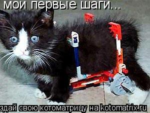 мои первые шаги...... Котоматрица: мои первые шаги...