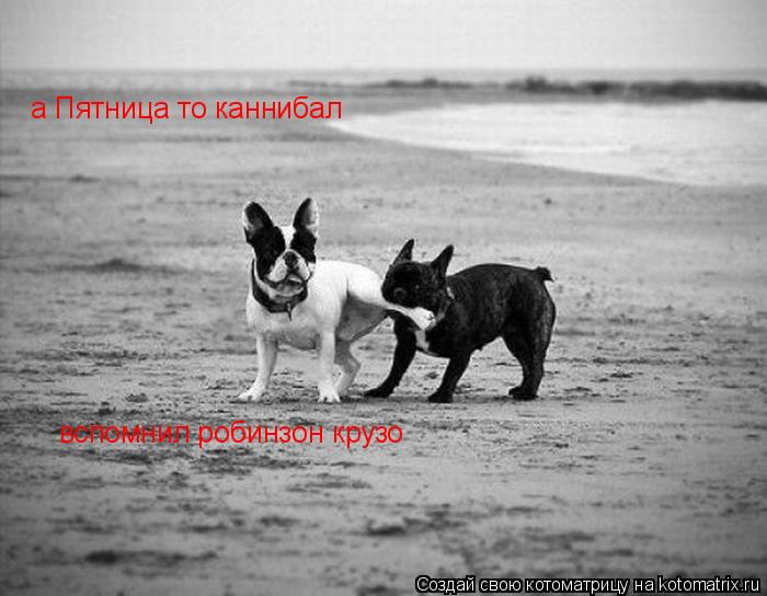 а Пятница то каннибал вспомнил робинзон крузо... Котоматрица: а Пятница то каннибал вспомнил робинзон крузо