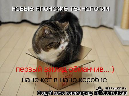 новые японские технологии нано кот в нано коробке первый взгляд обманчив...;)... Котоматрица: новые японские технологии нано кот в нано коробке первый взгляд обманчив...;)