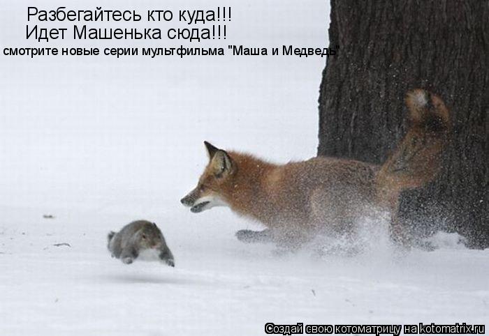 Разбегайтесь кто куда!!! Разбегайтесь кто куда!!! Идет Машенька сюда!!! смотрите новые серии мультфил... Котоматрица: Разбегайтесь кто куда!!! Разбегайтесь кто куда!!! Идет Машенька сюда!!! смотрите новые серии мультфильма "Маша и Медведь"