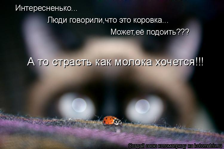 Интересненько... Люди говорили,что это коровка... Может,её подоить??? А то страсть как молока хочется... Котоматрица: Интересненько... Люди говорили,что это коровка... Может,её подоить??? А то страсть как молока хочется!!!