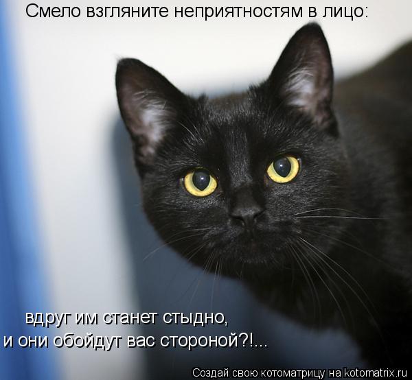 Смело взгляните неприятностям в лицо: вдруг им станет стыдно, и они обойдут вас стороной?!...... Котоматрица: Смело взгляните неприятностям в лицо: вдруг им станет стыдно, и они обойдут вас стороной?!...