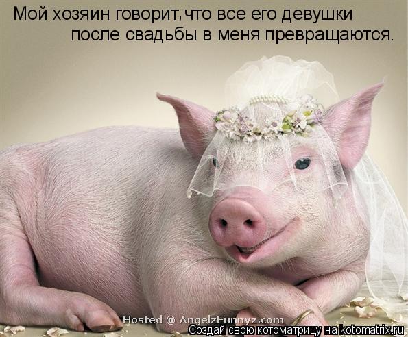 Мой хозяин говорит что все его девушки после свадьбы в меня превращаются. ,... Котоматрица: Мой хозяин говорит что все его девушки после свадьбы в меня превращаются. ,