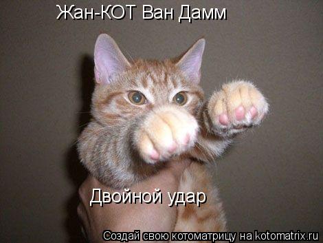Жан-КОТ Ван Дамм Двойной удар... Котоматрица: Жан-КОТ Ван Дамм Двойной удар