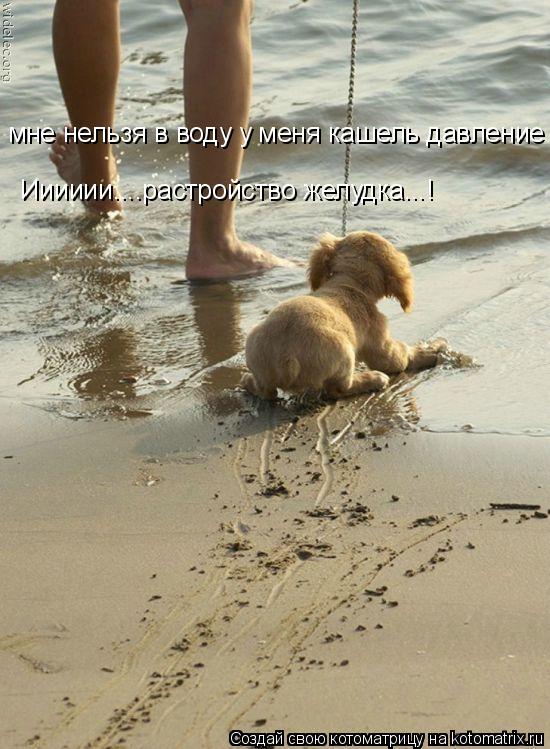 мне нельзя в воду у меня кашель давление Ииииии....растройство желудка...! Ииииии....растройство жел... Котоматрица: мне нельзя в воду у меня кашель давление Ииииии....растройство желудка...! Ииииии....растройство желудка...! Ииииии....растройство желудка...!