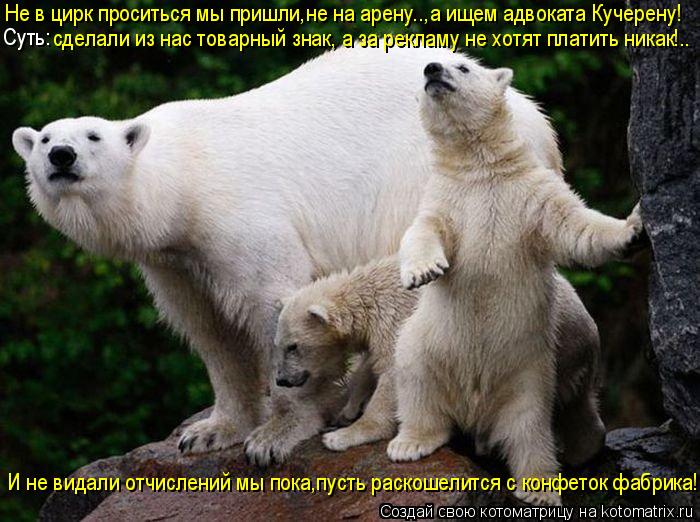 Котоматрица: И не видали отчислений мы пока,пусть раскошелится с конфеток фабрика! Не в цирк проситься мы пришли,не на арену..,а ищем адвоката Кучерену! С