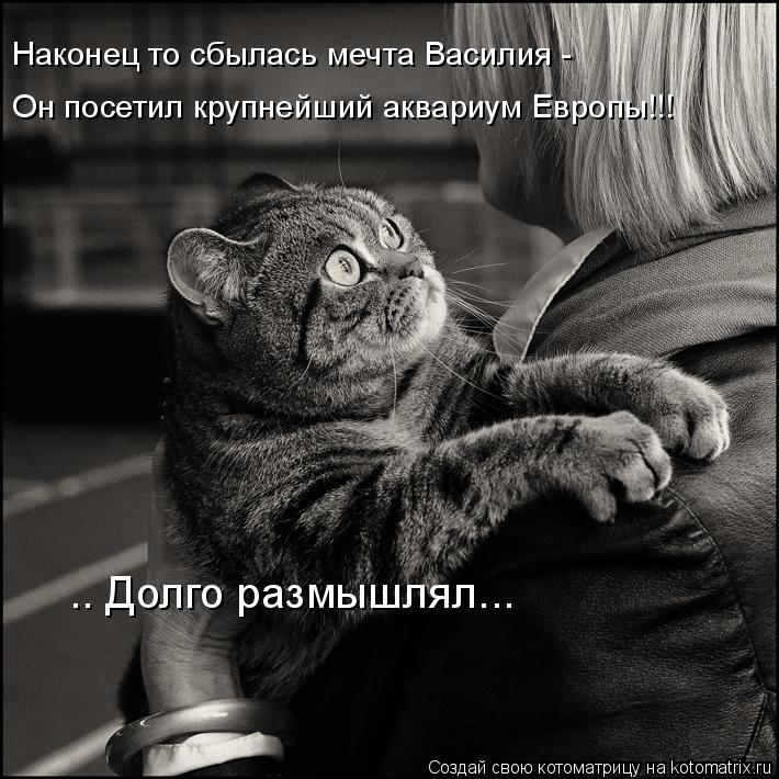 Он посетил крупнейший аквариум Европы!!! …. Долго размышлял... Наконец то сбылась мечта Василия -... Котоматрица: Он посетил крупнейший аквариум Европы!!! …. Долго размышлял... Наконец то сбылась мечта Василия -