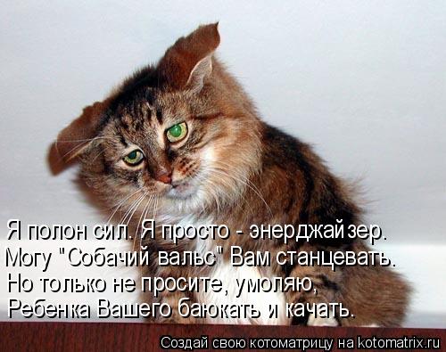 Котоматрица: Я полон сил. Я просто - энерджайзер. Могу "Собачий вальс" Вам станцевать. Но только не просите, умоляю, Ребенка Вашего баюкать и качать.