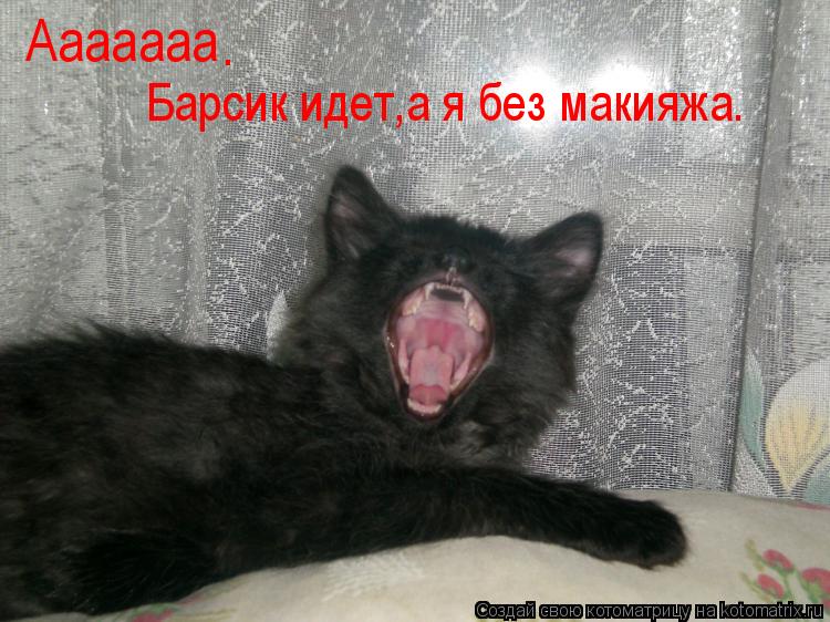 Ааааааа . Барсик идет,а я без макияжа.... Котоматрица: Ааааааа . Барсик идет,а я без макияжа.