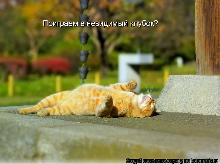 Поиграем в невидимый клубок?... Котоматрица: Поиграем в невидимый клубок?