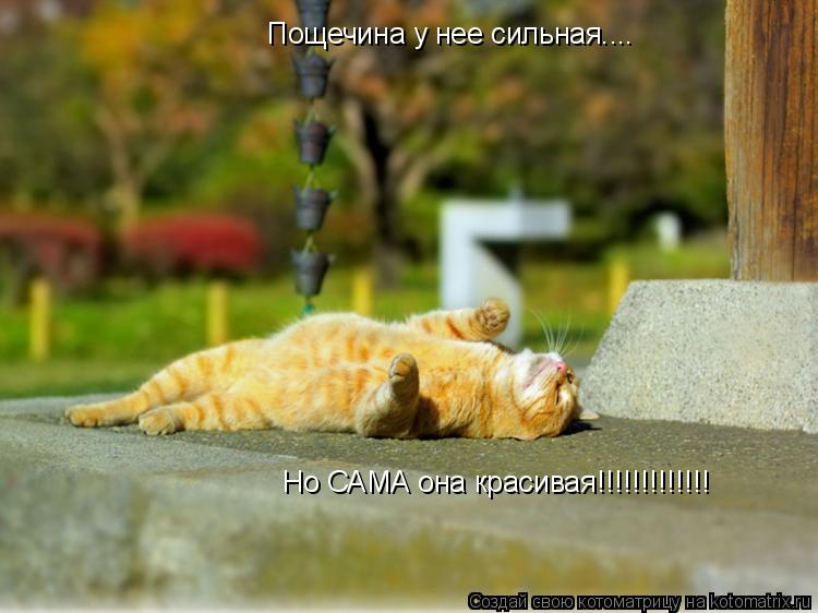 Пощечина у нее сильная.... Но САМА она красивая!!!!!!!!!!!!!... Котоматрица: Пощечина у нее сильная.... Но САМА она красивая!!!!!!!!!!!!!