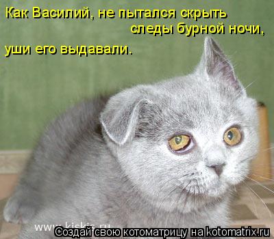 Как Василий, не пытался скрыть следы бурной ночи, уши его выдавали.... Котоматрица: Как Василий, не пытался скрыть следы бурной ночи, уши его выдавали.