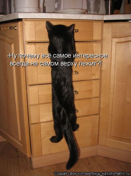 всегда на самом верху лежит?! -Ну почему всё самое интересное... Котоматрица: всегда на самом верху лежит?! -Ну почему всё самое интересное