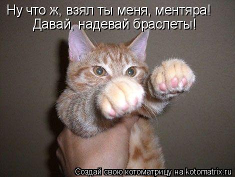 Ну что ж, взял ты меня, ментяра! Давай, надевай браслеты!... Котоматрица: Ну что ж, взял ты меня, ментяра! Давай, надевай браслеты!