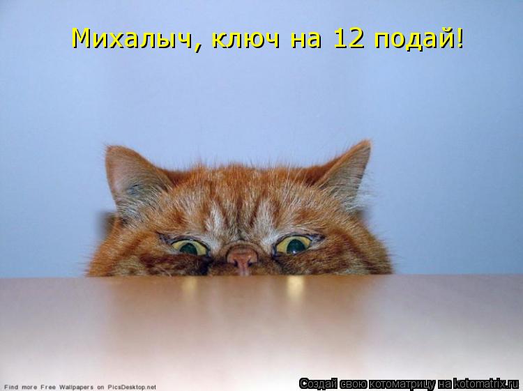 Михалыч, ключ на 12 подай!... Котоматрица: Михалыч, ключ на 12 подай!