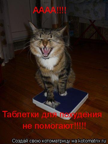 АААА!!!! Таблетки для похудения не помогают!!!!!... Котоматрица: АААА!!!! Таблетки для похудения не помогают!!!!!